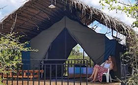 Basecamp - Yala
